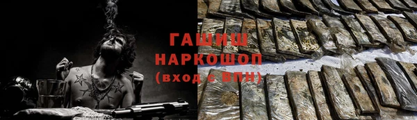 хмурый Бородино