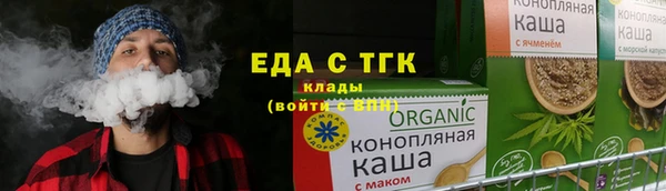 хмурый Бородино