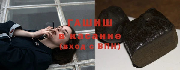хмурый Бородино