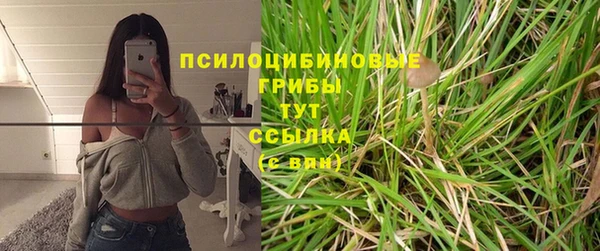 бутират Бугульма