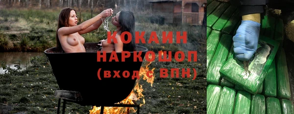 хмурый Бородино